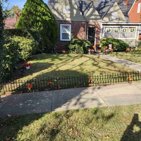 Leaf Removal by Loveladys Lawn Care reviewed on November 23, 2024