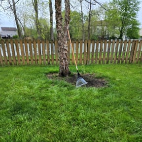 Cleanups by Kingsmen Landscaping reviewed on June 28, 2025