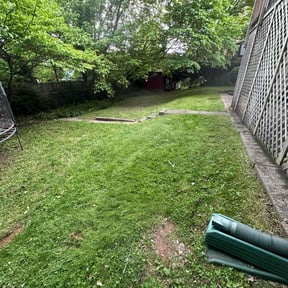 Leaf Removal by House of Beauty Lawn Care reviewed on June 15, 2022