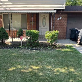 Bush Trimming by Aesthetic Spaces LLC reviewed on July 8, 2025