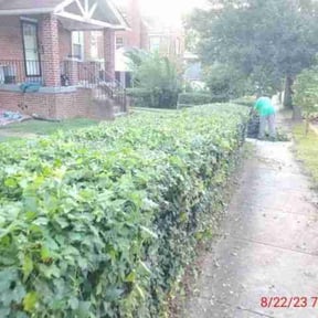 Bush Trimming by CraigScaped Lawn Love reviewed on July 14, 2025