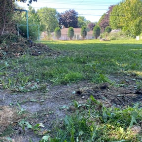 Cleanups by S & G Landscaping, Inc. reviewed on May 16, 2022