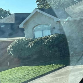 Bush Trimming by Tovar Landscaping reviewed on March 14, 2025