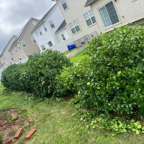 Bush Trimming by Hoffman Welding reviewed on November 15, 2022