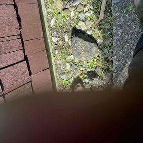 Flower Bed Weeding by Biggs customs reviewed on July 14, 2022