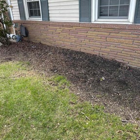 Flower Bed Weeding by P&A Landscaping reviewed on June 10, 2022
