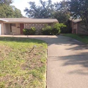 Cleanups by Alexito Landscaping reviewed on February 23, 2025