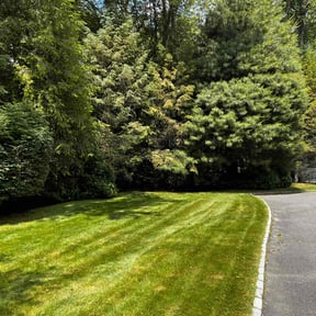 Mulching by Second Glance Landscaping LLC reviewed on July 26, 2022