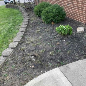 Flower Bed Weeding by Goldies Dynamics reviewed on September 1, 2023