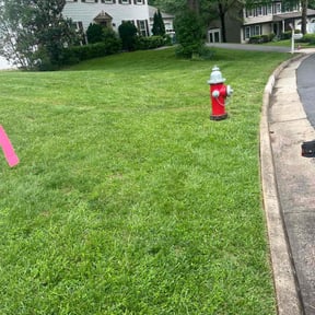 Bush Trimming by Nabz Lawn Care reviewed on October 17, 2022