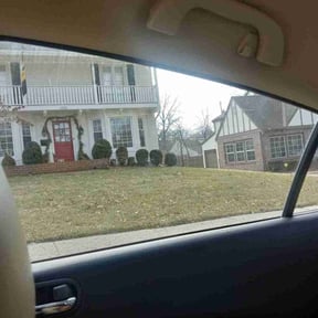 Bush Trimming by Stand lawn care Services reviewed on April 28, 2025