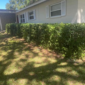 Bush Trimming by Jay's Resource reviewed on August 13, 2024