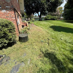 Bush Trimming by yardproservice reviewed on January 5, 2024