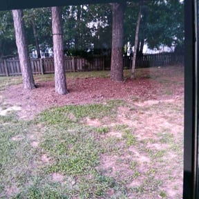 Cleanups by American lawn care reviewed on August 31, 2020