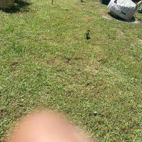 Leaf Removal by Jhon's Landscaping reviewed on May 23, 2022