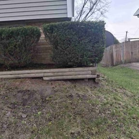 Bush Trimming by The guy property maintenance reviewed on August 8, 2022