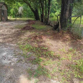 Leaf Removal by Roman Landscaping reviewed on July 3, 2022