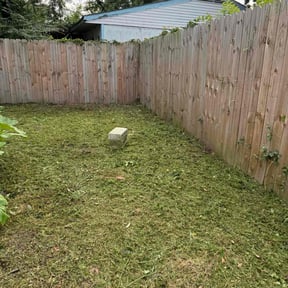Cleanups by T's lawn care reviewed on April 4, 2025