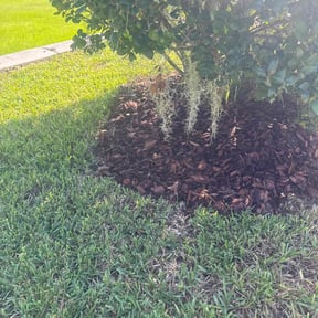 Mulching by Vera Lawns reviewed on May 3, 2025