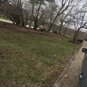 Leaf Removal by Ike’s Lawn & Yard Services reviewed on July 12, 2025
