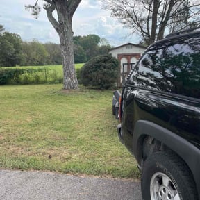 Bush Trimming by Anton Lawn Care reviewed on May 1, 2025