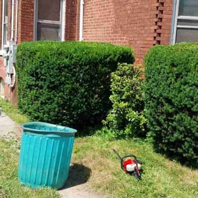 Bush Trimming by Willow Hill Landscaping & Lawn Care reviewed on November 6, 2021