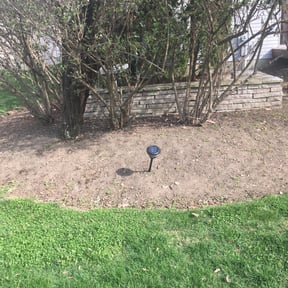Flower Bed Weeding by Cherry Lawncare reviewed on June 7, 2022