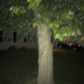 Cleanups by Smith family lawn service reviewed on July 22, 2022