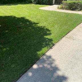 Bush Trimming by 3DM reviewed on October 29, 2022