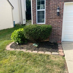 Bush Trimming by Yes Lawn reviewed on June 4, 2022