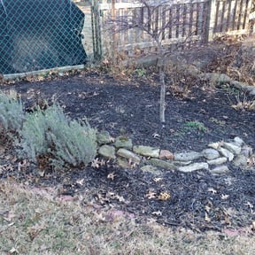 Leaf Removal by Moreno landscaping reviewed on April 11, 2025