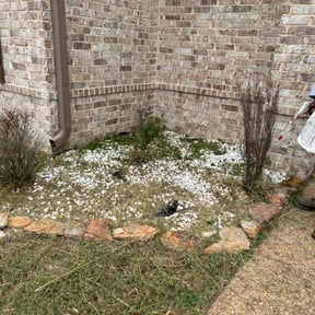 Cleanups by MJ Lawncare Solutions reviewed on April 28, 2025