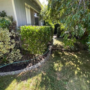 Bush Trimming by ARTHURS LAWN AND LANDSCAPE reviewed on June 30, 2022