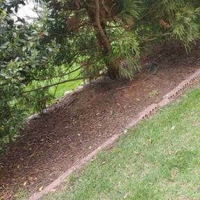 Cleanups by QUALITY CUTS reviewed on October 22, 2020
