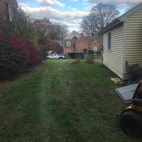 Leaf Removal by RTH Lawn Service & Landscaping LLC reviewed on September 22, 2021