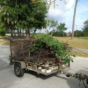 Cleanups by AllNOne landscaping llc reviewed on August 6, 2025