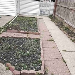 Weeding by 3D GARDEN DESIGN and lawn care reviewed on April 8, 2025