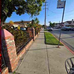 Leaf Removal by Gtpi lawn Care reviewed on May 30, 2022
