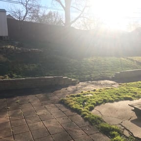 Leaf Removal by Reliablemowing LLC reviewed on June 24, 2022