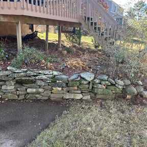 Leaf Removal by Pauls lawn cuts and more reviewed on September 14, 2021