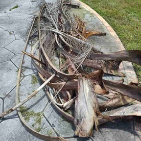 Cleanups by Swayne’s Lawncare LLC reviewed on June 8, 2025