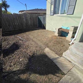 Cleanups by LSLTDallas/FortWorthTruGreen reviewed on March 4, 2025