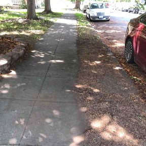 Leaf Removal by Sunnyside Lawn care reviewed on November 20, 2020