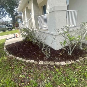 Bush Trimming by Ochoa Landscape and Irrigaton LLC reviewed on October 12, 2024