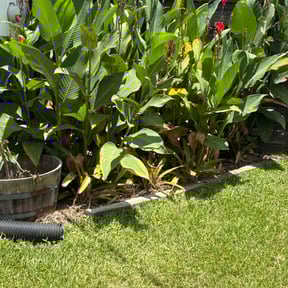 Flower Bed Weeding by TorresLawnservice reviewed on October 13, 2022