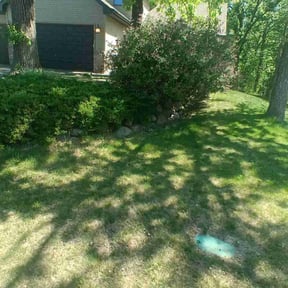Leaf Removal by Midwest Ecoscapes reviewed on May 8, 2025
