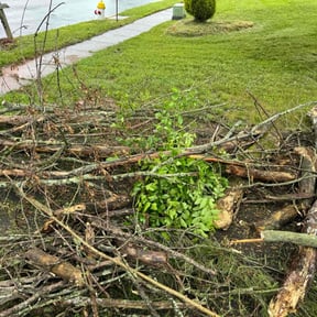 Cleanups by Major green lawn care services reviewed on June 15, 2022
