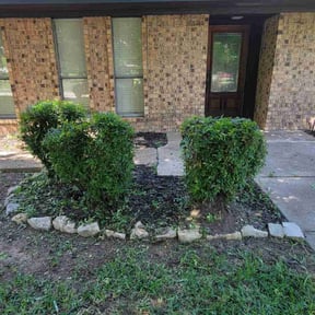 Bush Trimming by Doyle Lawn Care Services reviewed on June 10, 2020