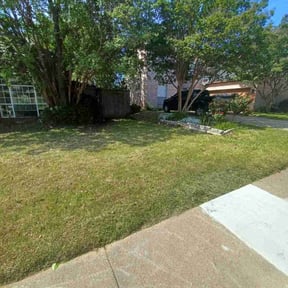 Leaf Removal by SunnyDay Lawn Service+Maintance reviewed on July 20, 2022