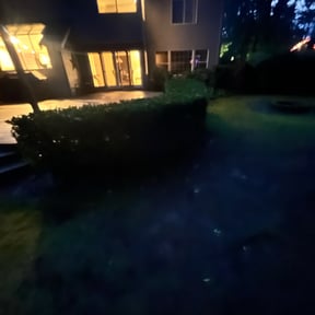 Bush Trimming by Thomas’s Lawn Care reviewed on June 11, 2022